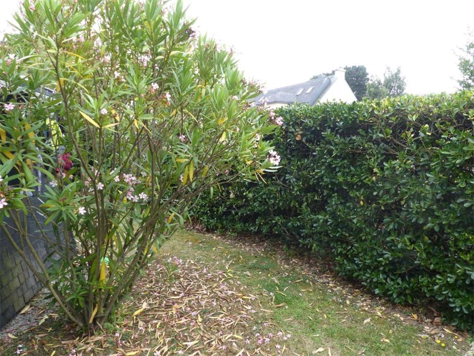 Port An Dro 1 - Wifi, Jardin, Plage 200M - K295 Carnac Eksteriør bilde